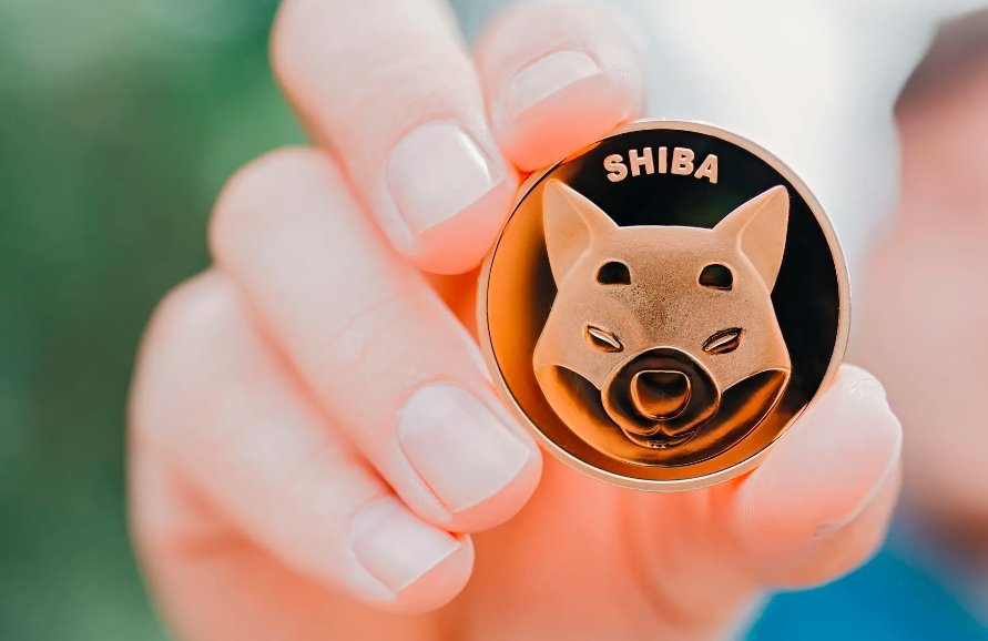 Shiba Inu Whales Accumulate Tokens Amid Market Crash