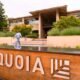 Sequoia Set to Earn Over $100 Million from Stripe's Bridge Acquisition